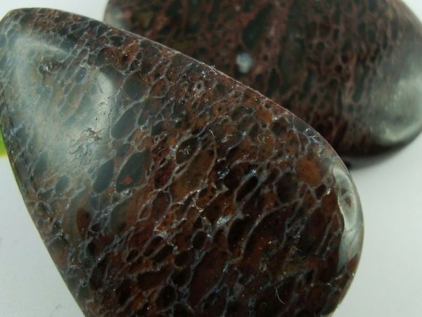 Dinosaurier Knochen Heilstein Mineral