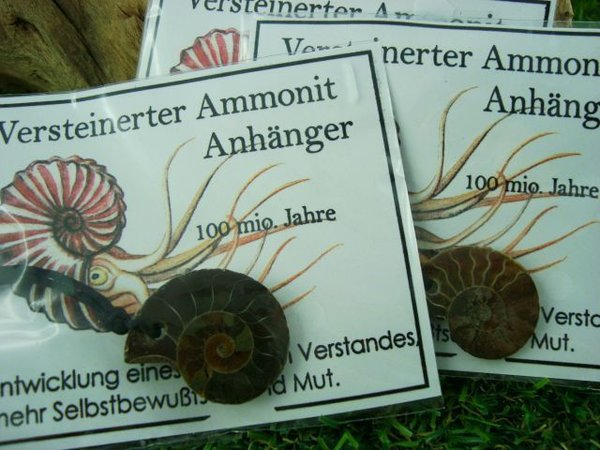 Ammonit - mit Band - komplett