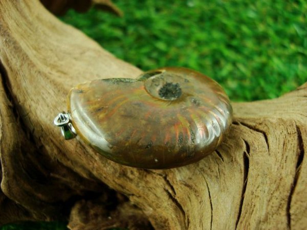 Ammonit - Unikat - Anhänger mit Silberöse
