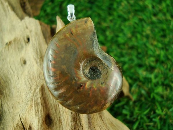 Ammonit - Unikat - Anhänger mit Silberöse