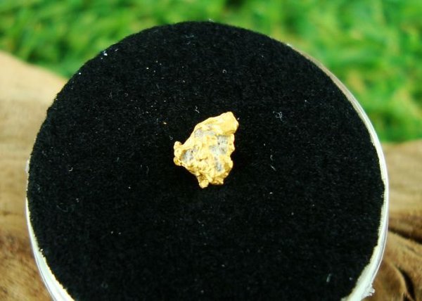 Gold-Nugget ~ 0,3 gr. - Golden Triangle